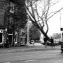 Thuys Café