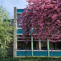 Al Islaah Basisschool