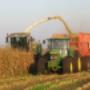 R E Wisman en Zn Grondwerken