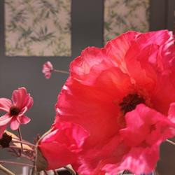 Bloemenpotpourri