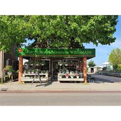 Tuin- en Bloemencentrum Wiegmans