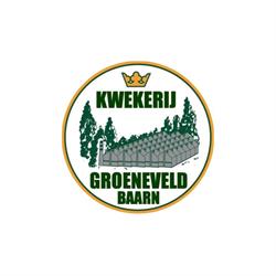 Groeneveld Kwekerij