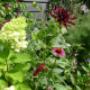 Garden Service