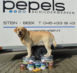 Pepels Schildersbedrijf