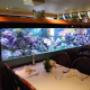 het aquarium