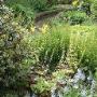 Jaarrond interessante tuin