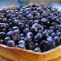 Greftenhoeve Blauwbessentuin De