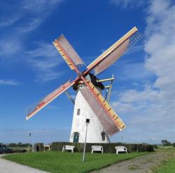 Brasser's Korenmolen Dierenspeciaalzaak