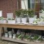Bloemenhuis Drint