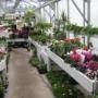 Bloemenhuis Drint