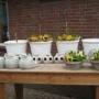 Bloemenhuis Drint