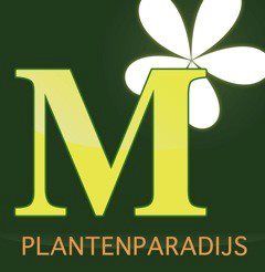 Moerkerk Plantenparadijs