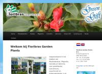 Floribras Garden Plants Bv