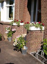 Bloemen Boerderij Boer