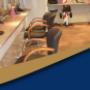 Primeur Kapsalon