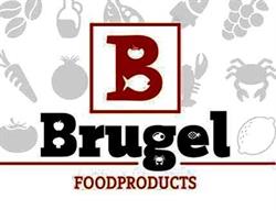 Brugel Handelsonderneming