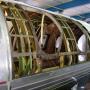Bos Aviation Vliegtuigplaatwerkerij vd