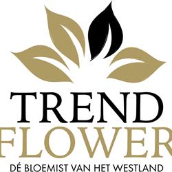 Trend Flower