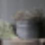 Kadoshop De Duizendpoot