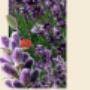 Hamers Studio voor Huidverzorging en Aromatherapie Maud