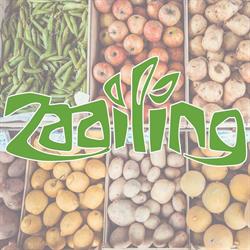 Zaailing