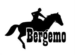 Bergemo Recreatie