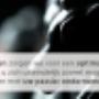Box Accountants & Adviseurs BV
