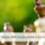 Box Accountants & Adviseurs BV