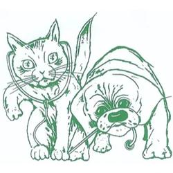 Dierenkliniek Vrieze