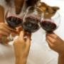 Cateringbedrijf & Partyservice vd Putten
