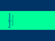 Excellence Management Support