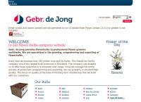 Jong Bv Gebr de