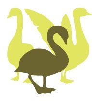 Stichting Vogelklas Karel Schot