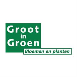 Groot in Groen Bloemen en Planten