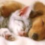 samen