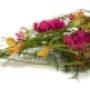Bloemen Groot Jebbink