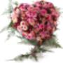 Bloemen Groot Jebbink