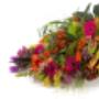 Bloemen Groot Jebbink