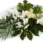 Bloemen Groot Jebbink