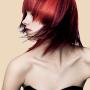 Kapsalon Sonja's Hair Fashion