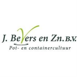 Bevers en Zn Bv J