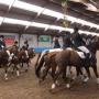 Manege Hoogenboom Ruitersport