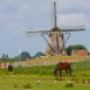 Manege Hoogenboom Ruitersport