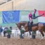 Manege Hoogenboom Ruitersport