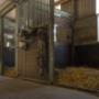 Manege Hoogenboom Ruitersport
