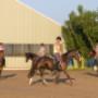 Manege Hoogenboom Ruitersport