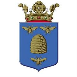Gemeente Borne
