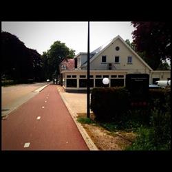 De Kersenbloesem