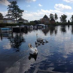 Kleine Belterwijde Camping