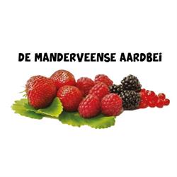 De Manderveense Aardbei